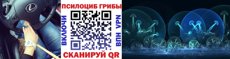 Псилоцибиновые грибы ЛСД где продают МЕГА ссылка shop клад Фатеж